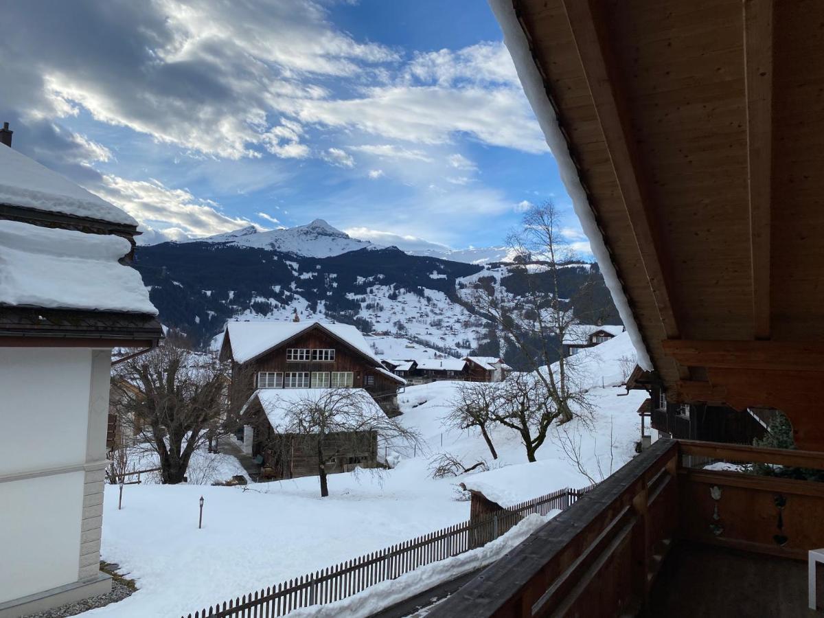 Chalet Elizabeth Apartamento Grindelwald Exterior foto